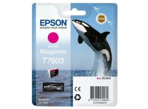 Ink Cartridge - T7603 - 25.9ml - Vivid Magenta (c13t76034n10) 1400pages 25,9ml