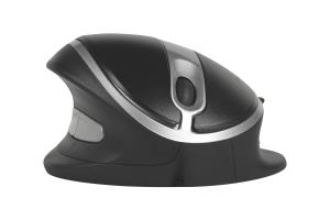 Oyster Mouse - USB - Medium ambidextrous with cable scroll wheel